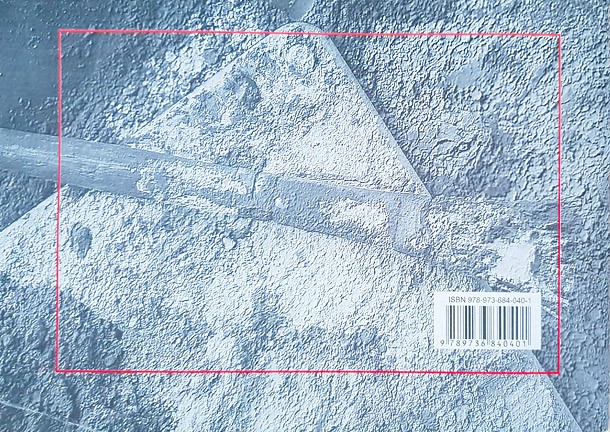 Desen Artistic Si Educatie Plastica Manual Pentru Clasa A V A