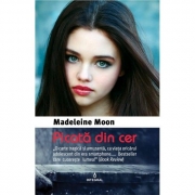 Picata din cer - Madeleine Moon