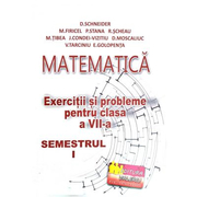 Matematica, exercitii si probleme pentru clasa a VII-a, semestrul I - Delia Schneider
