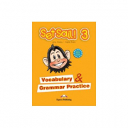 Set Sail 3. Vocabulary and Grammar Practice, Curs limba engleza - Virginia Evans