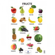 Plansa Fructe