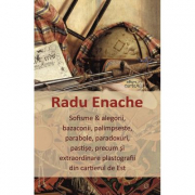 Sofisme si alegorii, bazaconii, palimpseste, parabole, paradoxuri, pastise, precum si extraordinare plastografii din cartierul de Est - Radu Enache