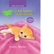 Carmel, un pisoi curajos - Holly Webb