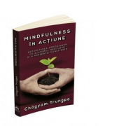 Mindfulness in actiune. Dezvoltarea armonioasa cu ajutorul meditatiei si a prezentei constiente - Chogyam Trungpa