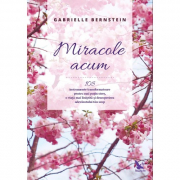 Miracole acum. 108 instrumente transformatoare pentru mai putin stres, o viata mai linistita si descoperirea adevaratului tau scop - Gabrielle Bernstein
