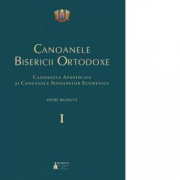 Canoanele Bisericii Ortodoxe. Editie bilingva, set 3 volume