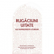 Rugaciuni uitate ale dumnezeiestii Liturghii – Rugaciunile amvonului, dupa cele mai vechi manuscrise liturgice de limba greaca, sec. VIII-XII - Gabriel Mandrila