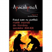 Focul care nu purifica. Marile incendii din Romania secolelor 17-21 - Dan-Silviu Boerescu