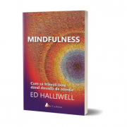 Mindfulness - Ed Halliwell