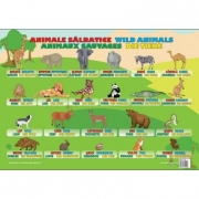 Animale Salbatice - Plansa educativa