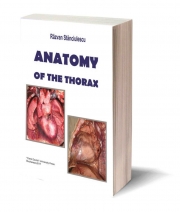 Anatomy of the Thorax - Razvan Stanciulescu