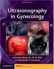 Ultrasonography in Gynecology - Botros R. M. B. Rizk, Elizabeth E. Puscheck