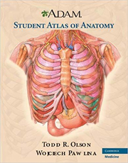 A. D. A. M. Student Atlas of Anatomy - Todd R. Olson, Wojciech Pawlina