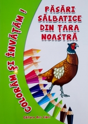 Pasari salbatice din tara noastra - Coloram si invatam!