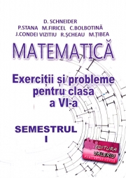 Matematica, exercitii si probleme pentru clasa a VI-a, semestrul I - Delia Schneider