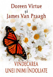 Vindecarea unei inimi indoliate - Doreen Virtue, James van Praagh