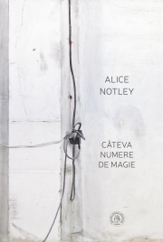 Cateva numere de magie - Alice Notley
