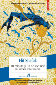 10 minute si 38 de secunde in lumea asta stranie - Elif Shafak