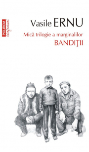 Banditii. Editia a III-a, de buzunar - Vasile Ernu