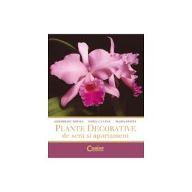 Plante decorative de sera si apartament