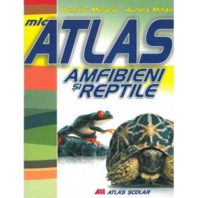 Mic atlas Amfibieni si reptile - Aurora Mihail, Dumitru Murariu