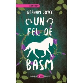 Un fel de basm - Graham Joyce