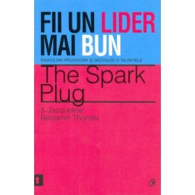 Fii un lider mai bun. Invata din provocari si dezvolta-ti talentele - The Spark Plug