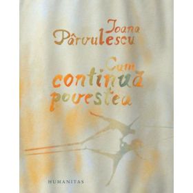 Cum continua povestea - Ioana Parvulescu
