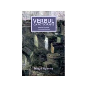 Verbul ca fotografie - Disidente culturale si comentarii politice - Mihail Neamtu