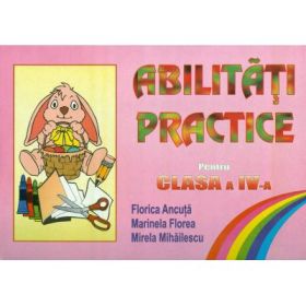 Abilitati practice pentru clasa a 4-a - Florica Ancuta
