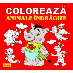 Coloreaza animale indragite - Diana Rotaru