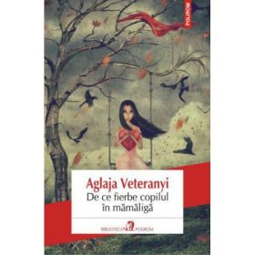 De ce fierbe copilul in mamaliga (Aglaja Veteranyi)