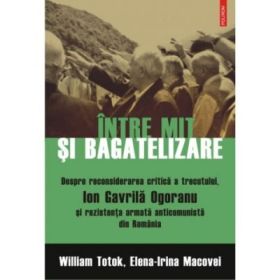 Intre mit si bagatelizare. Despre reconsiderarea critica a trecutului - William Totok, Elena-Irina Macovei