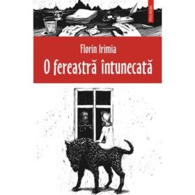 O fereastra intunecata (Florin Irimia)