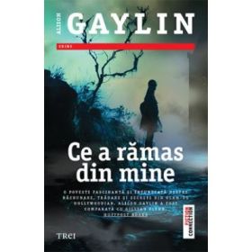 Ce a ramas din mine - Alison Gaylin. Traducere de Ana Dragomirescu