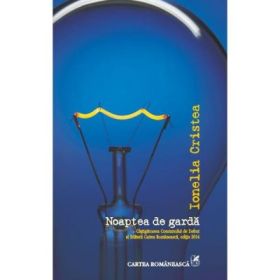 Noaptea de garda - Ionelia Cristea