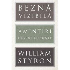 Bezna vizibila. Amintiri despre nebunie - William Styron