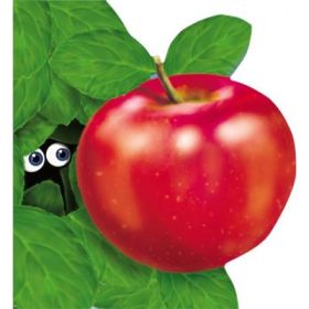 Marul. Colectia Primii pasi - Arcadie Suceveanu