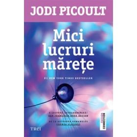 Mici lucruri marete - Jodi Picoult. De la autoarea romanului Vremea plecarii