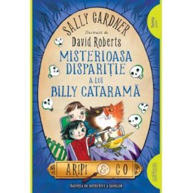 Aripi &amp; Co 3 Misterioasa disparitie a lui Billy Catarama. Paperback - Sally Gardner, David Roberts