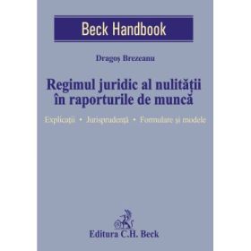 Regimul juridic al nulitatii in raporturile de munca. Explicatii. Jurisprudenta. Formulare si modele - Dragos Brezeanu