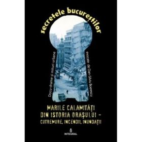 Marile calamitati din istoria orasului. Cutremure, incendii, inundatii, epidemii - Dan-Silviu Boerescu