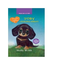 Toby, catelusul pierdut - Holly Webb