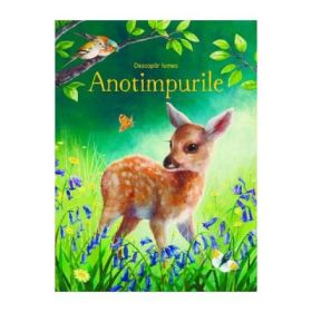 Descopar lumea Anotimpurile - Emily Bone