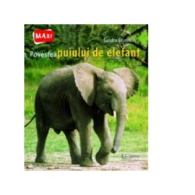 Povestea puiului de elefant - Sandra Grimm