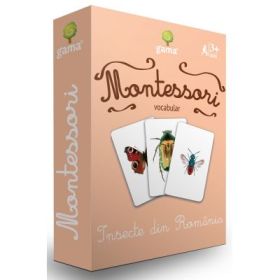 Insecte din Romania. Carti de joc Montessori vocabular