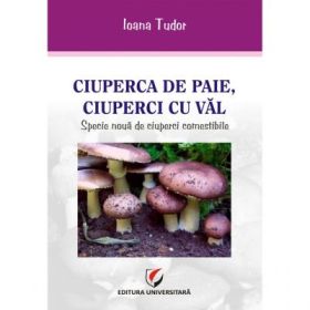 Ciuperca de paie, ciuperci cu val. Specie noua de ciuperci comestibile