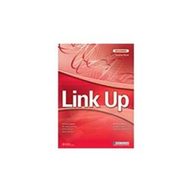 Link Up Beginner Class Audio CDs