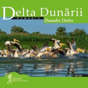 Calator prin tara mea. Delta Dunarii - Florin Andreescu