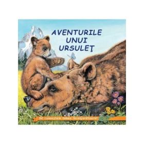 Aventurile unui ursulet - Sa cunoastem lumea inconjuratoare!